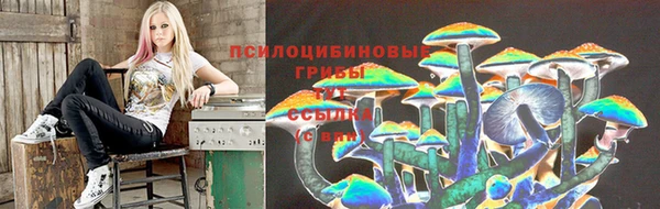 ECSTASY Баксан