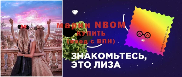 гашик Балахна