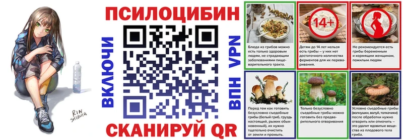 Псилоцибиновые грибы Cubensis  блэк спрут ONION  Ясный 